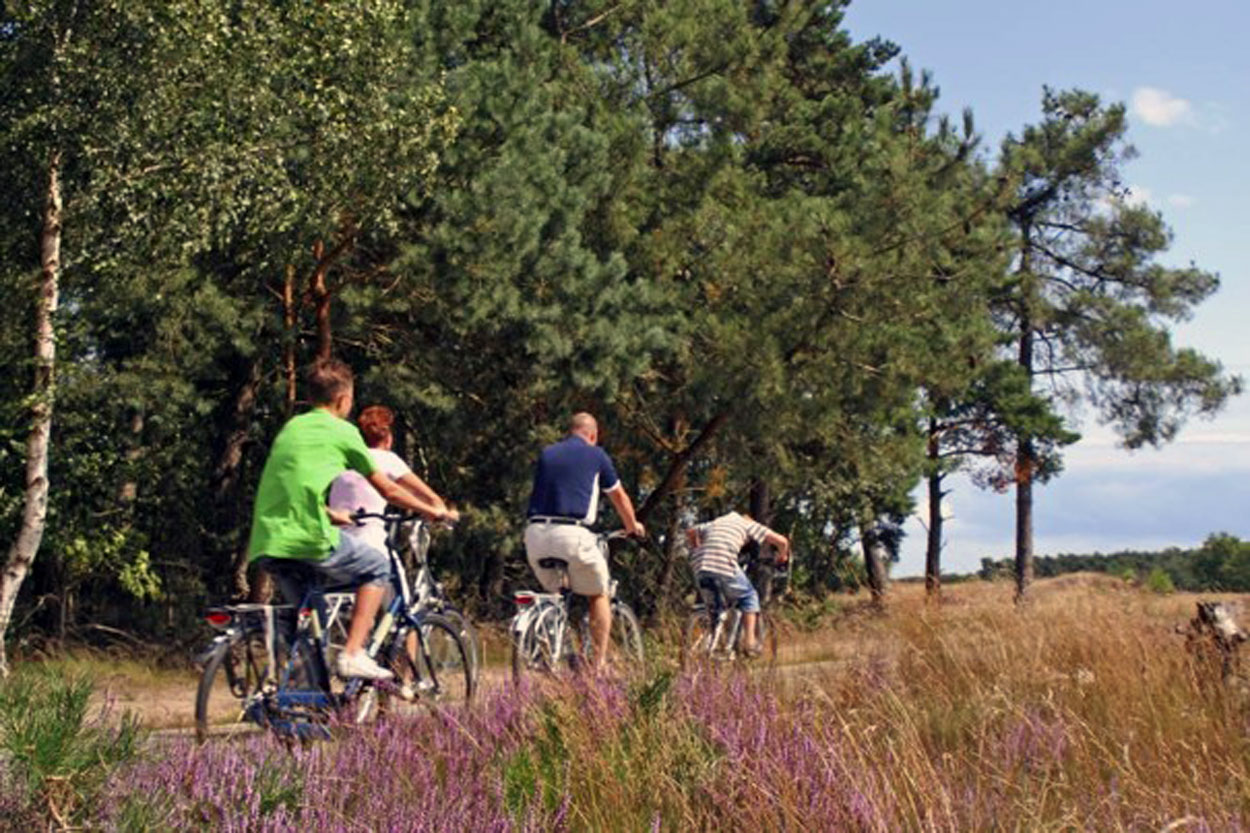 Warme en droge Drentse Fiets4Daagse van start