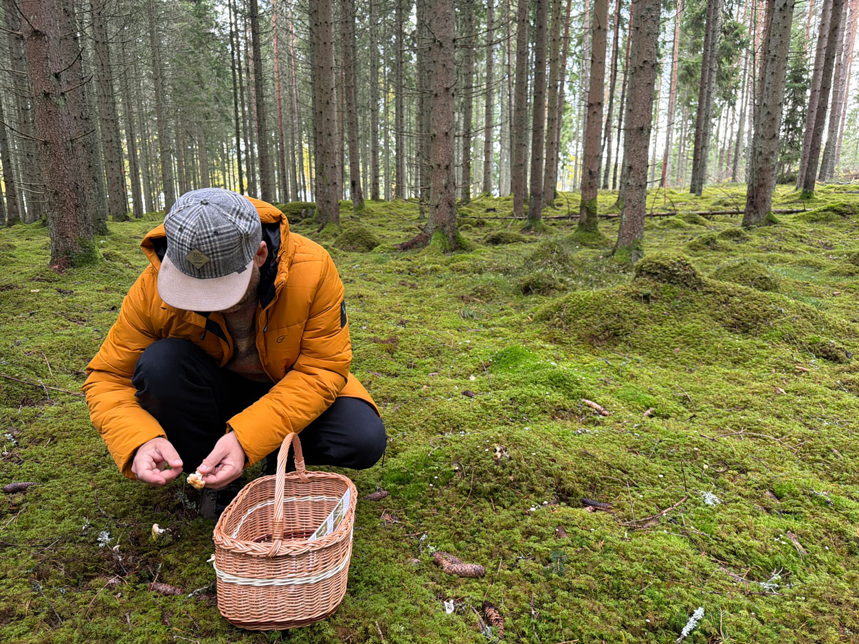 Småland zet het bos steeds nadrukkelijker op het menu